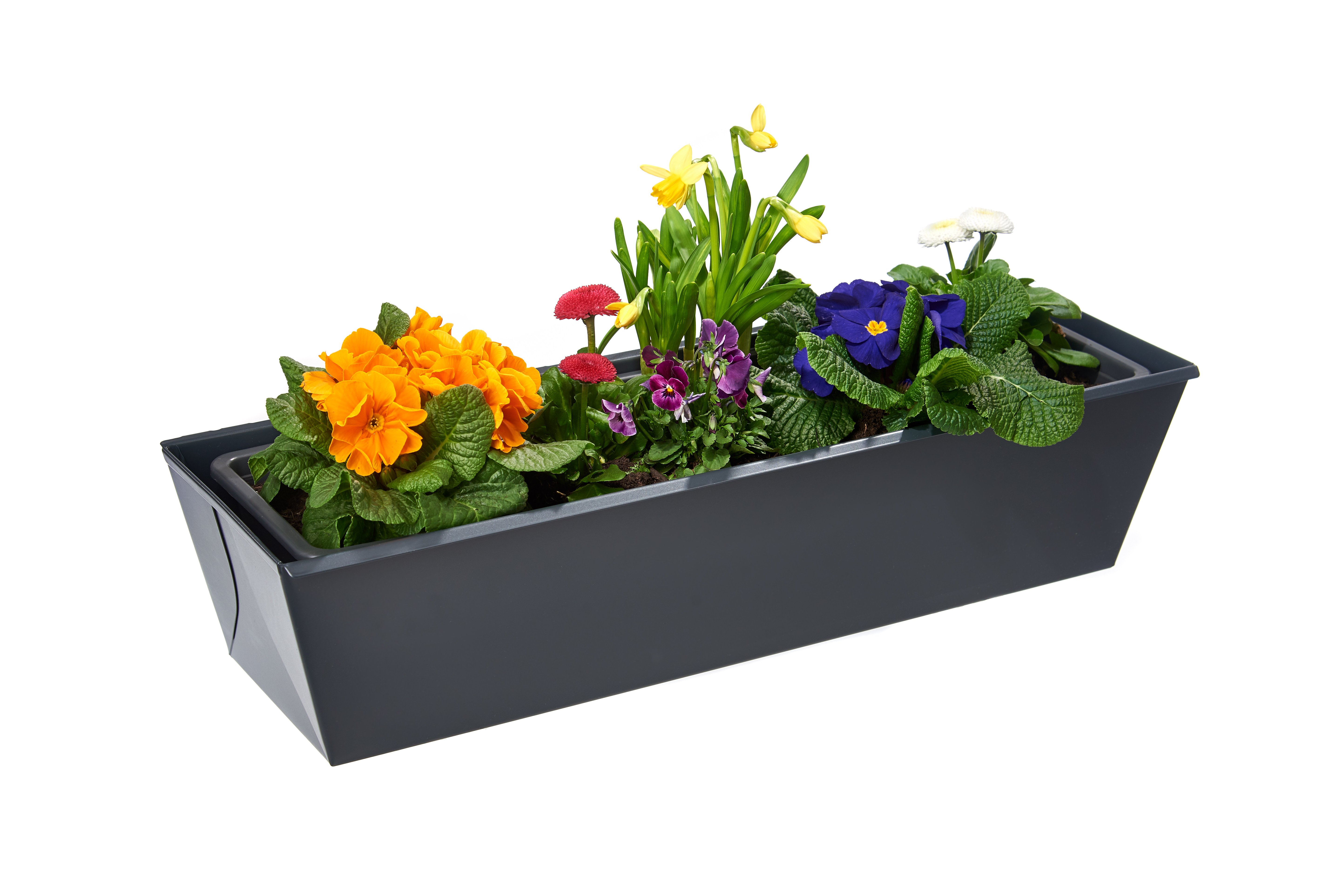 gabioka flowerbox 60cm standard anthrazit pulverbeschichtet (RAL 7016 glatt matt)