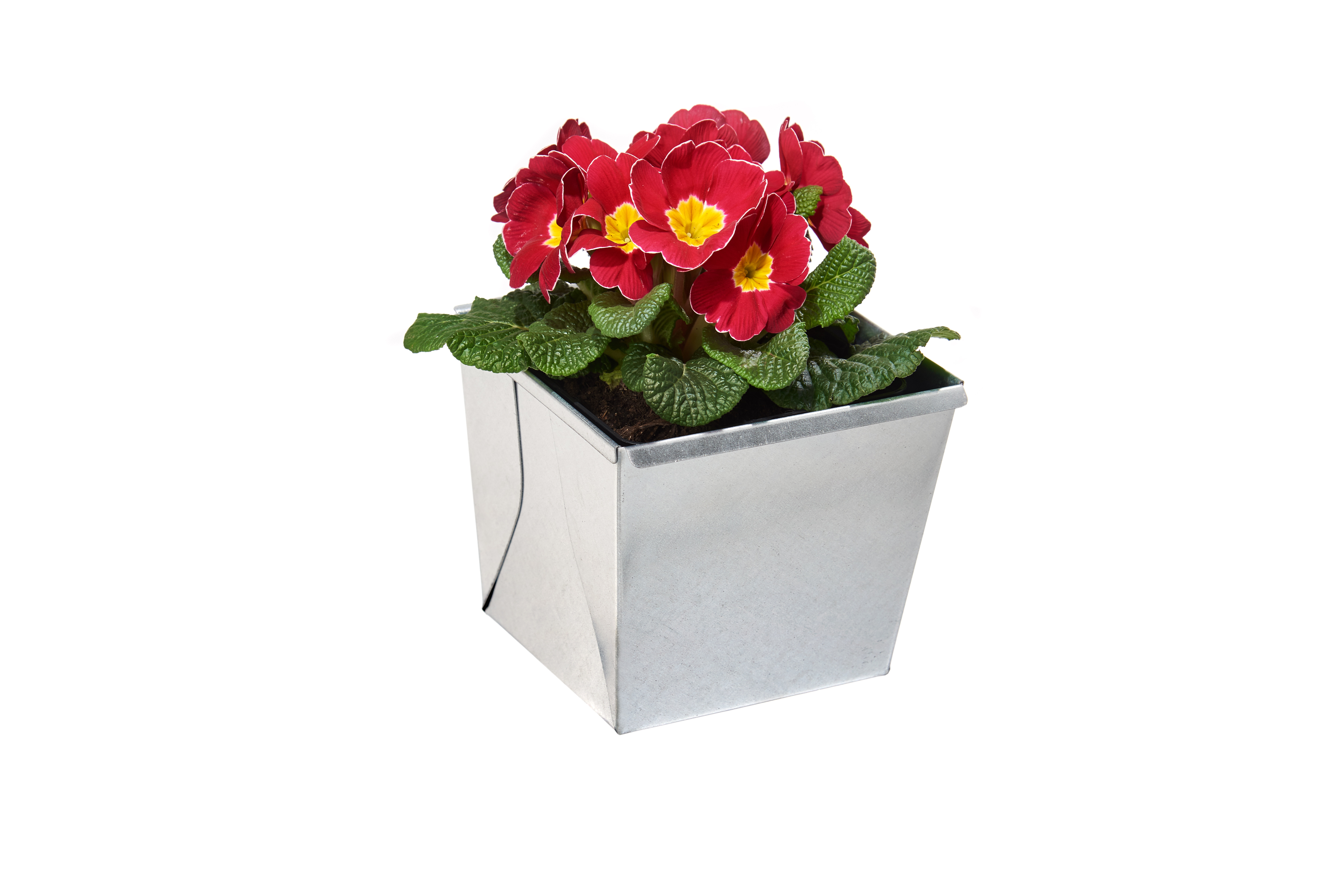 B-Ware: gabioka flowerbox small verzinkt 